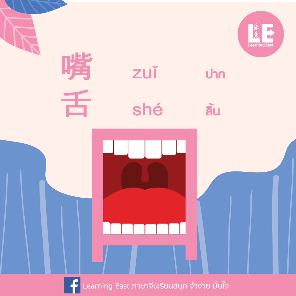รวมคำศัพท์ภาษาจีนพบบ่อยที่มี 口 ประกอบ โดยสถาบันภาษาจีนเลิร์นนิ่งอีสท์ Learning East