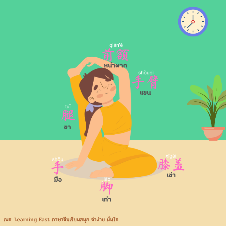 คำศัพท์ภาษาจีนหมวดร่างกายและอวัยวะ โดย สถาบันภาษาจีนเลิร์นนิ่งอีสท์ Learning East